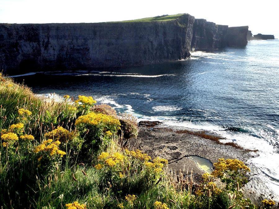 Bed and Breakfast Bealaha House Doonbeg Zewnętrze zdjęcie